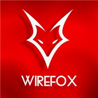 Wirefox Digital Agency Birmingham in Birmingham