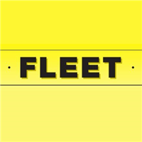 Fleet Cars & Minicabs in London