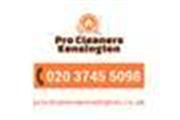 Professional Cleaners Kensington in Kensington