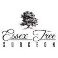 Essex Tree Surgeon in Colchester