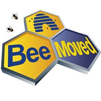 Bee Moved Removals in Brighton