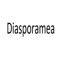 Diasporamea in London