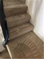 Carpet Cleaning East London - Prolux Cleaning in London