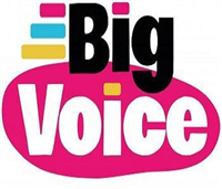 Big Voice Ltd in Milton Keynes
