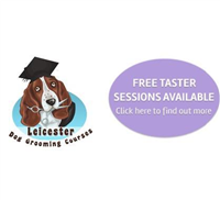 Leicester Dog Grooming Courses in Leicester