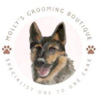 Molly's Grooming Boutique