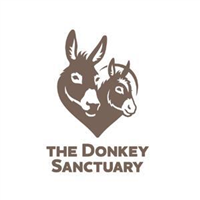 The Donkey Sanctuary Belfast in Templepatrick