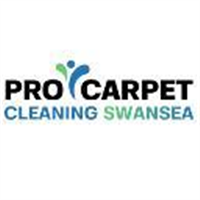 Pro Carpet Cleaning Swansea in Swansea