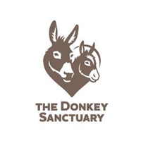 The Donkey Sanctuary Derbyshire in Buxton