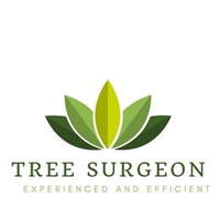 Tree Surgeon Essex in Hadleigh