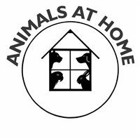 Animals at Home (maidenhead & Slough) in Slough
