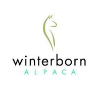 Winterborn Alpaca UK in Leicester Square