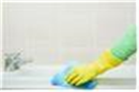 Professional Cleaning Services New Charlton in London