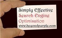 Simply Effective SEO in Exmouth