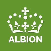 Albion Marketing in Brighton