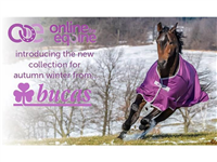 Online for Equine LTD in Stafford