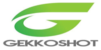 Gekkoshot Digital Marketing in Donaghcloney