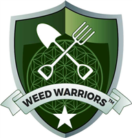Weed Warriors in Didsbury