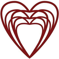 Heart Cells Foundation in Marylebone