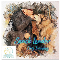 Snack Leader Dog Training in Ripon