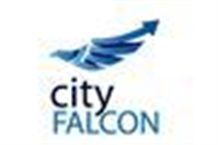 City Falcon