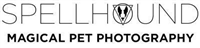Spellhound Dog Photography in Hertford