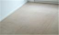 Pro Teck Carpet Cleaning in Swindon