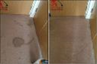 Carpet Cleaning Watford - Prolux Cleaning in Watford