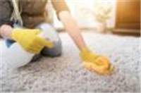 Carpet Cleaning Northampton and Around Your Town in Northampton