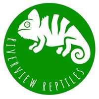 Riverview Reptiles in Loughborough