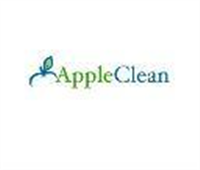 Apple Clean in Crawley