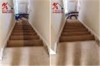 Prolux Cleaning - Surbiton in Surbiton