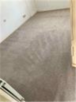 Carpet Cleaning Sutton - Prolux Cleaning in Wallington