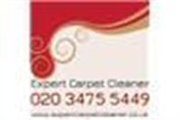 Expert Carpet Cleaner in Notting Hill